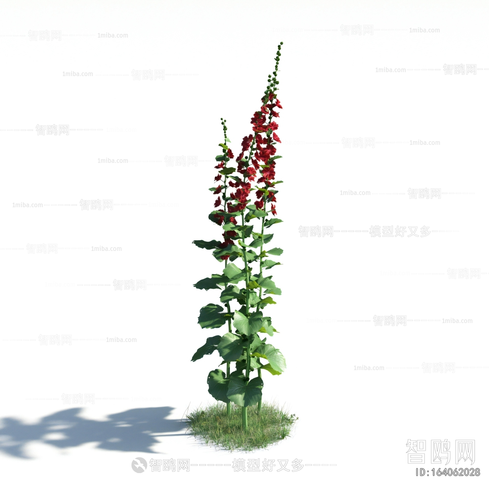 Modern Flowers And Grass