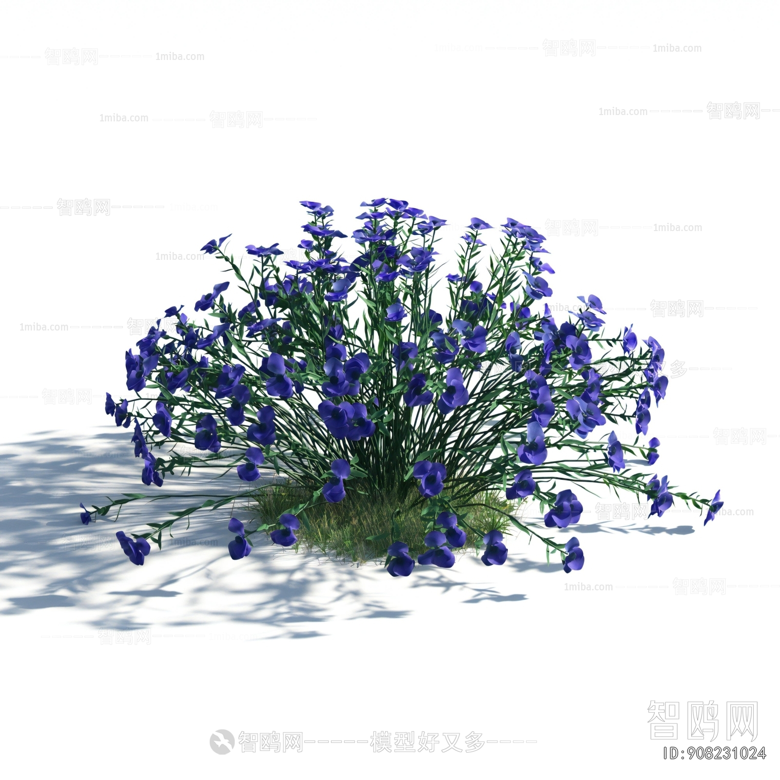 Modern Flowers And Grass