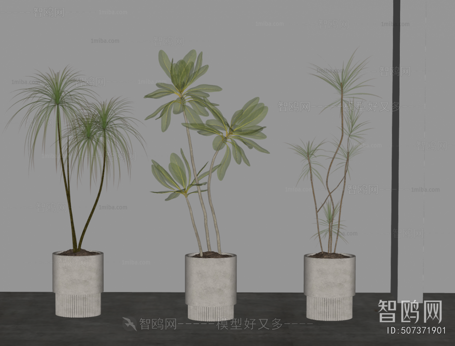 Modern Ground Green Plant Potted Plants