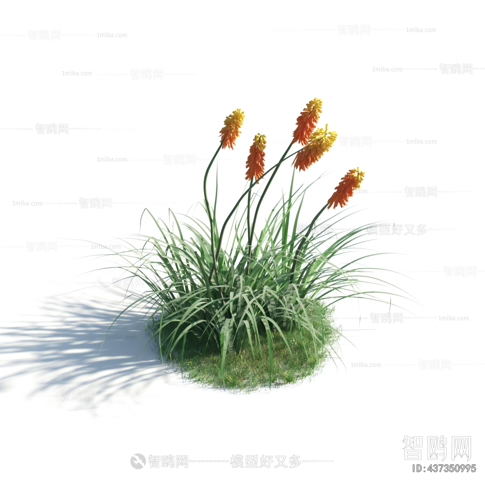 Modern Flowers And Grass
