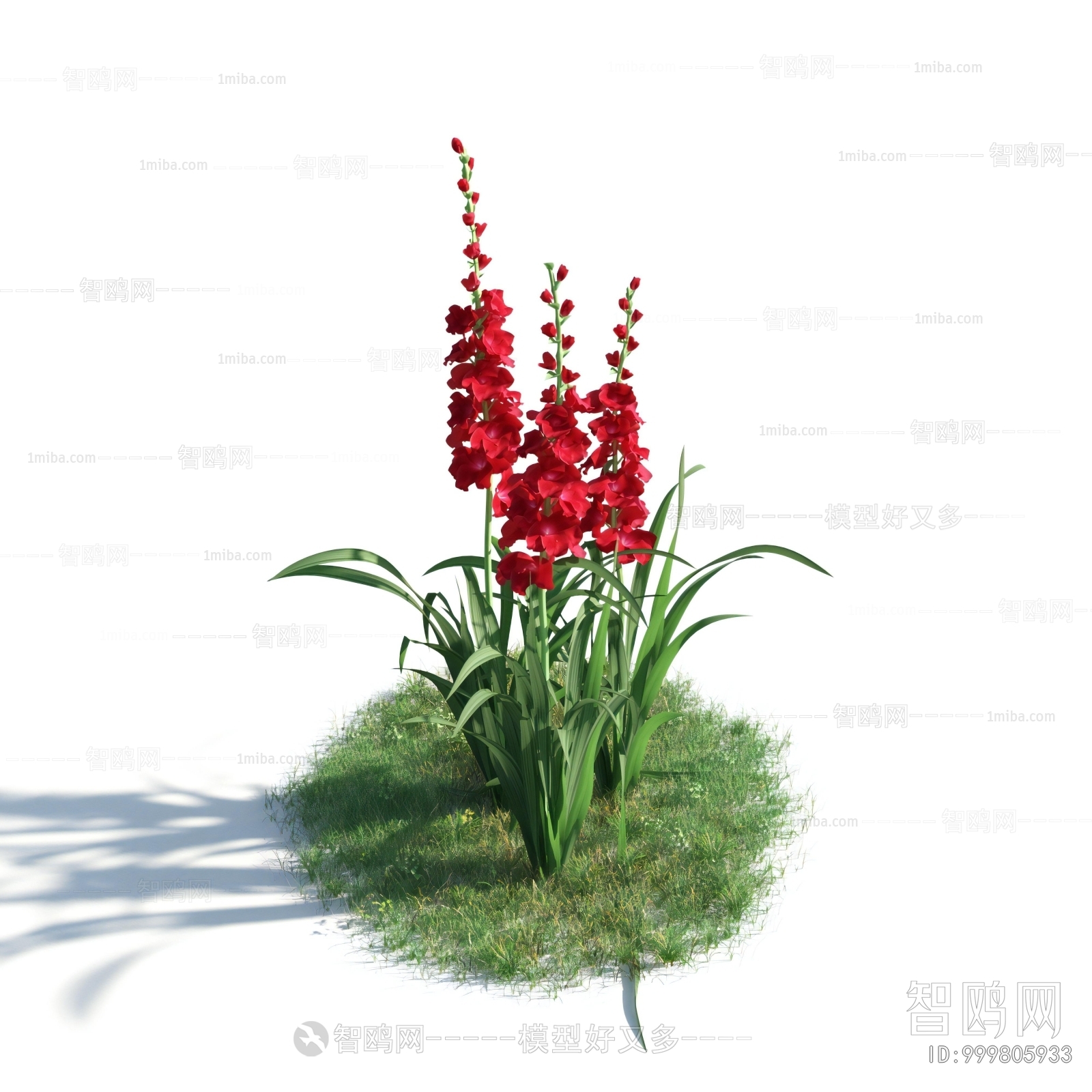 Modern Flowers And Grass