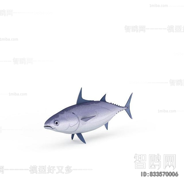 Modern Aquatic Animals