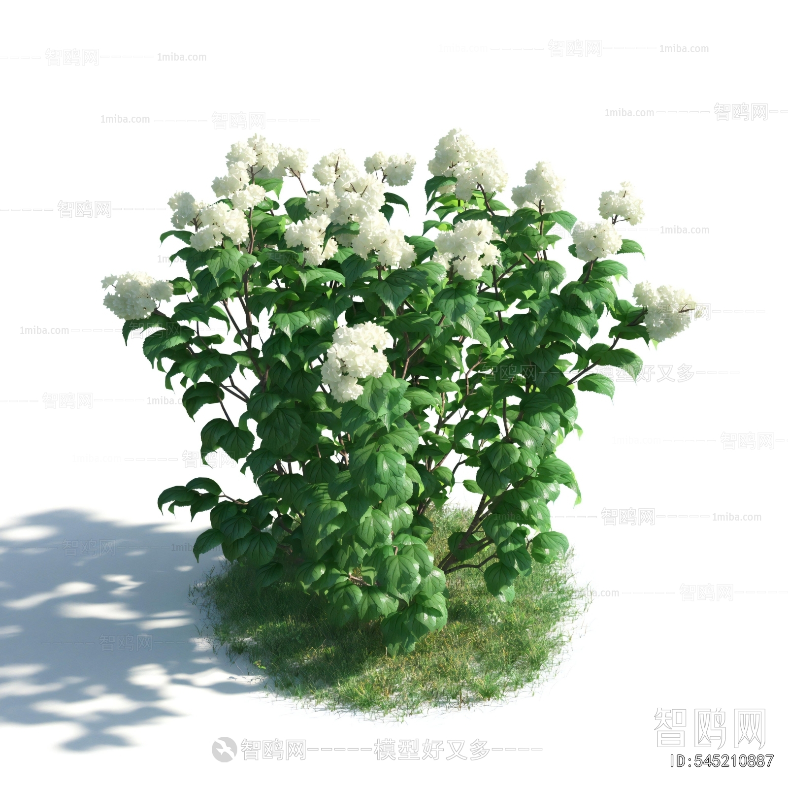 Modern Flowers And Grass