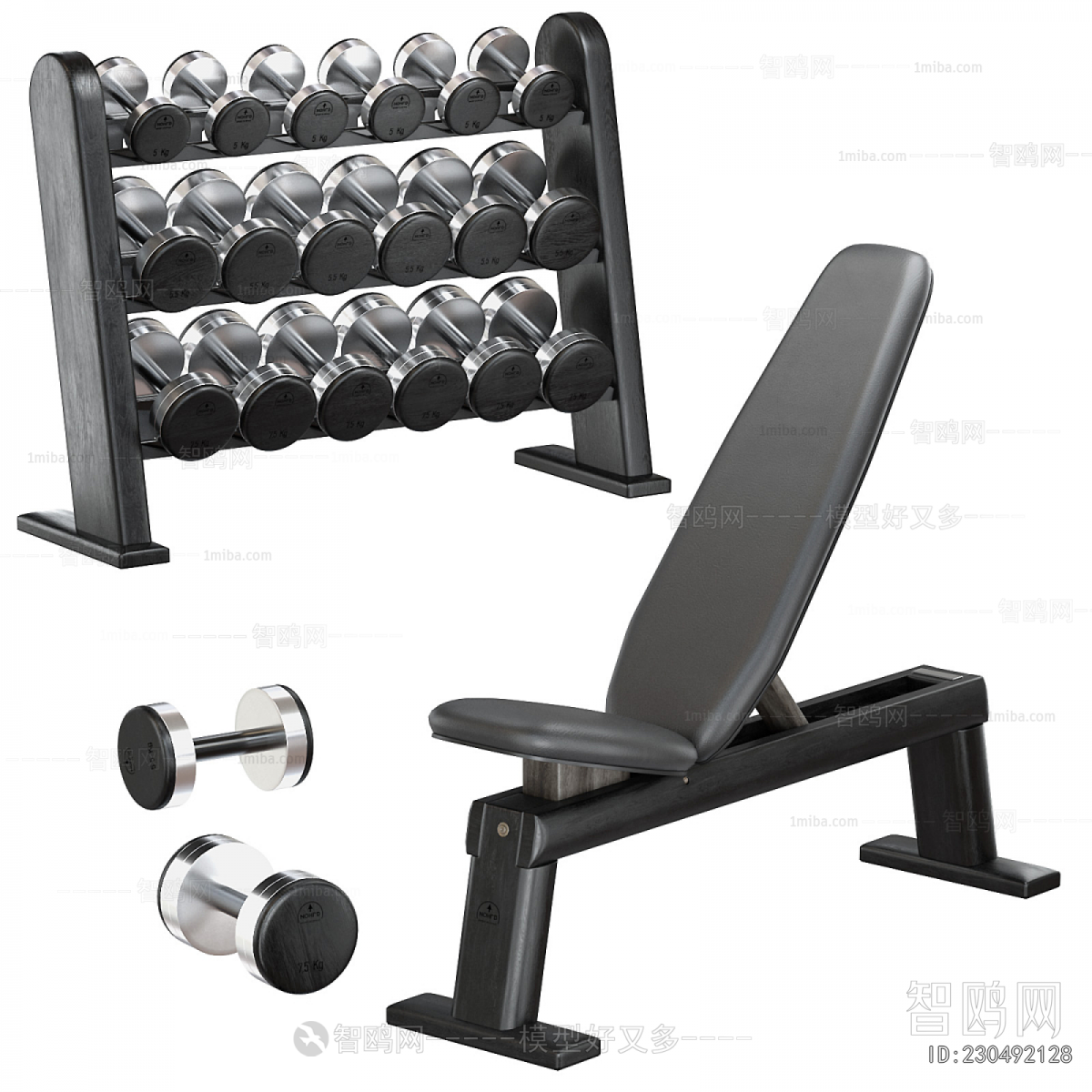 Modern Fitness Equipment
