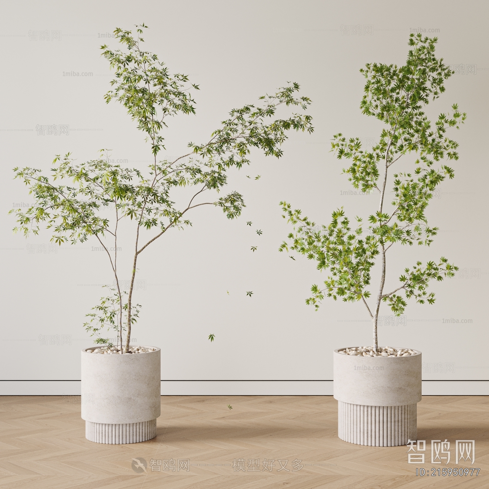 Modern Ground Green Plant Potted Plants
