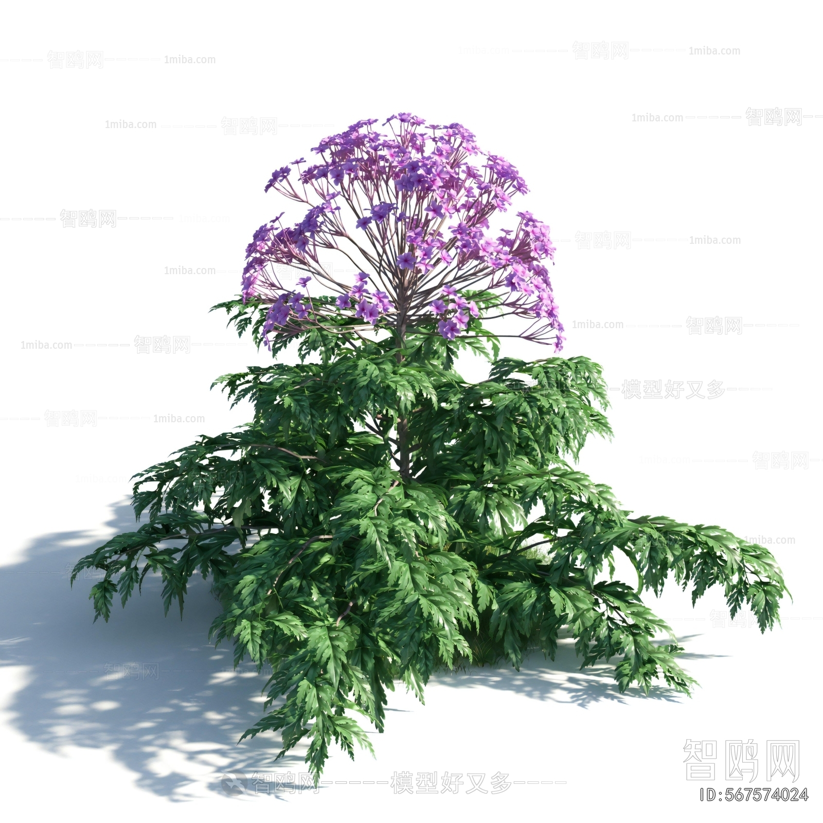 Modern Flowers And Grass