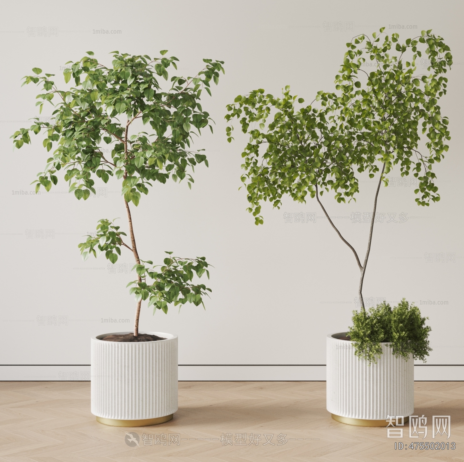 Modern Ground Green Plant Potted Plants