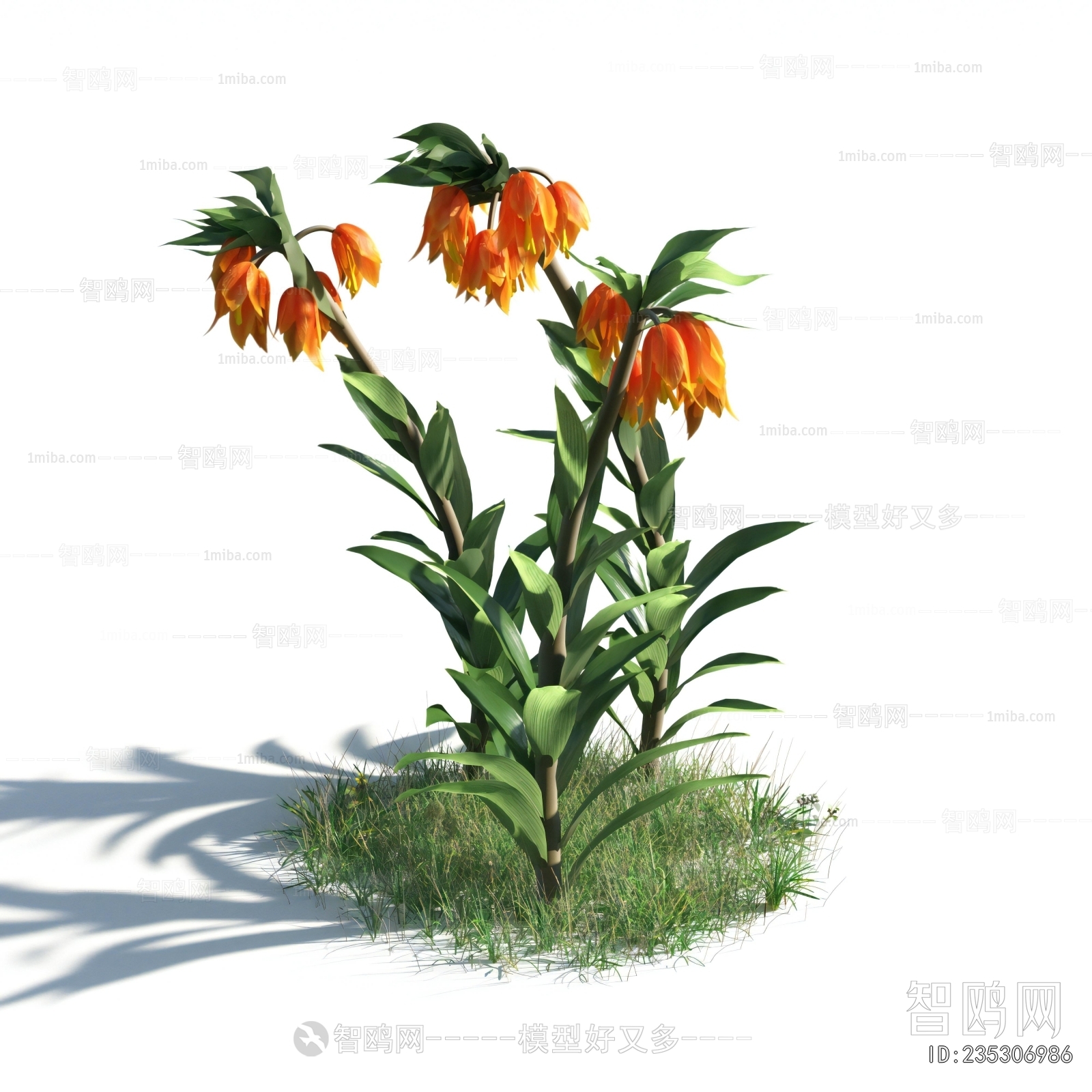 Modern Flowers And Grass