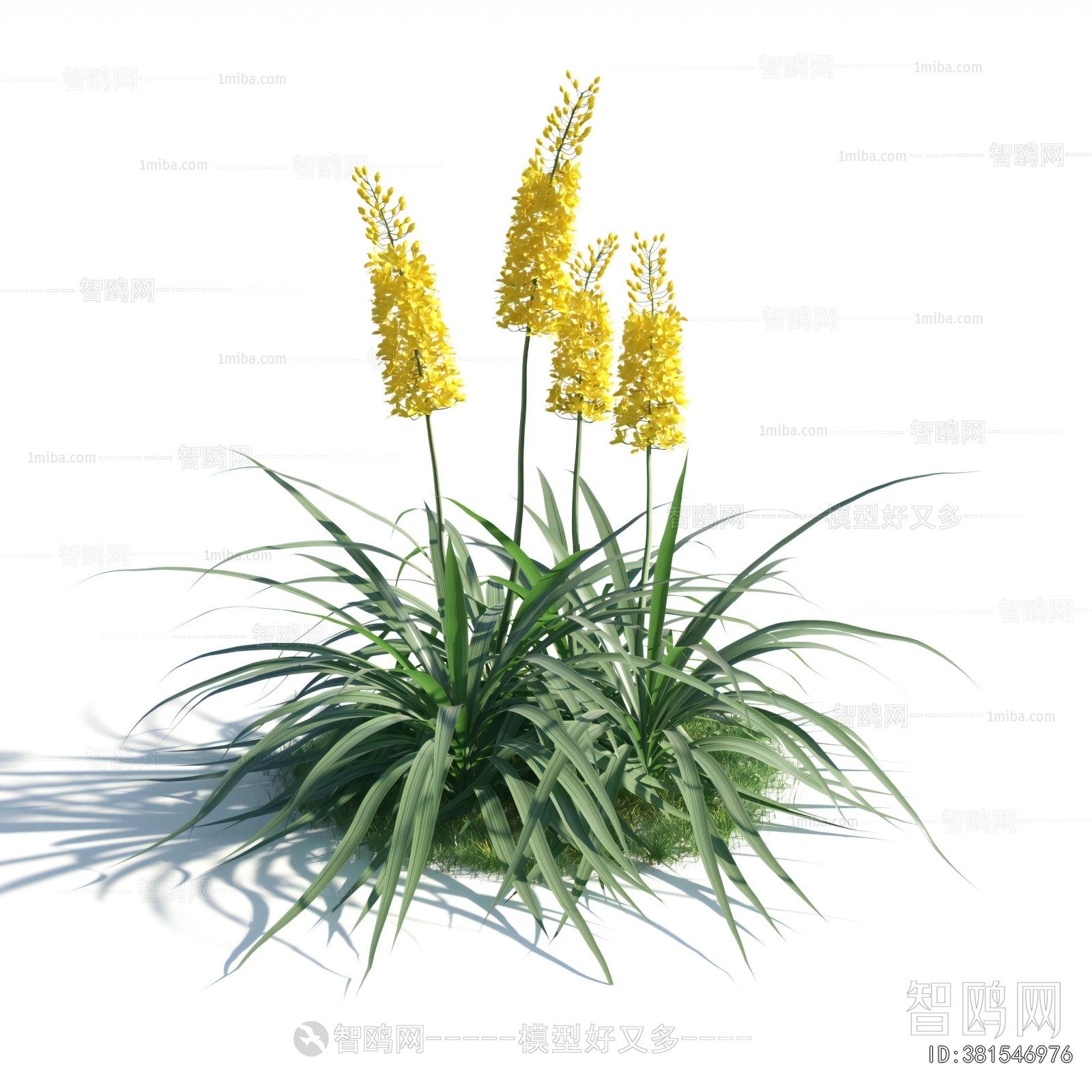 Modern Flowers And Grass