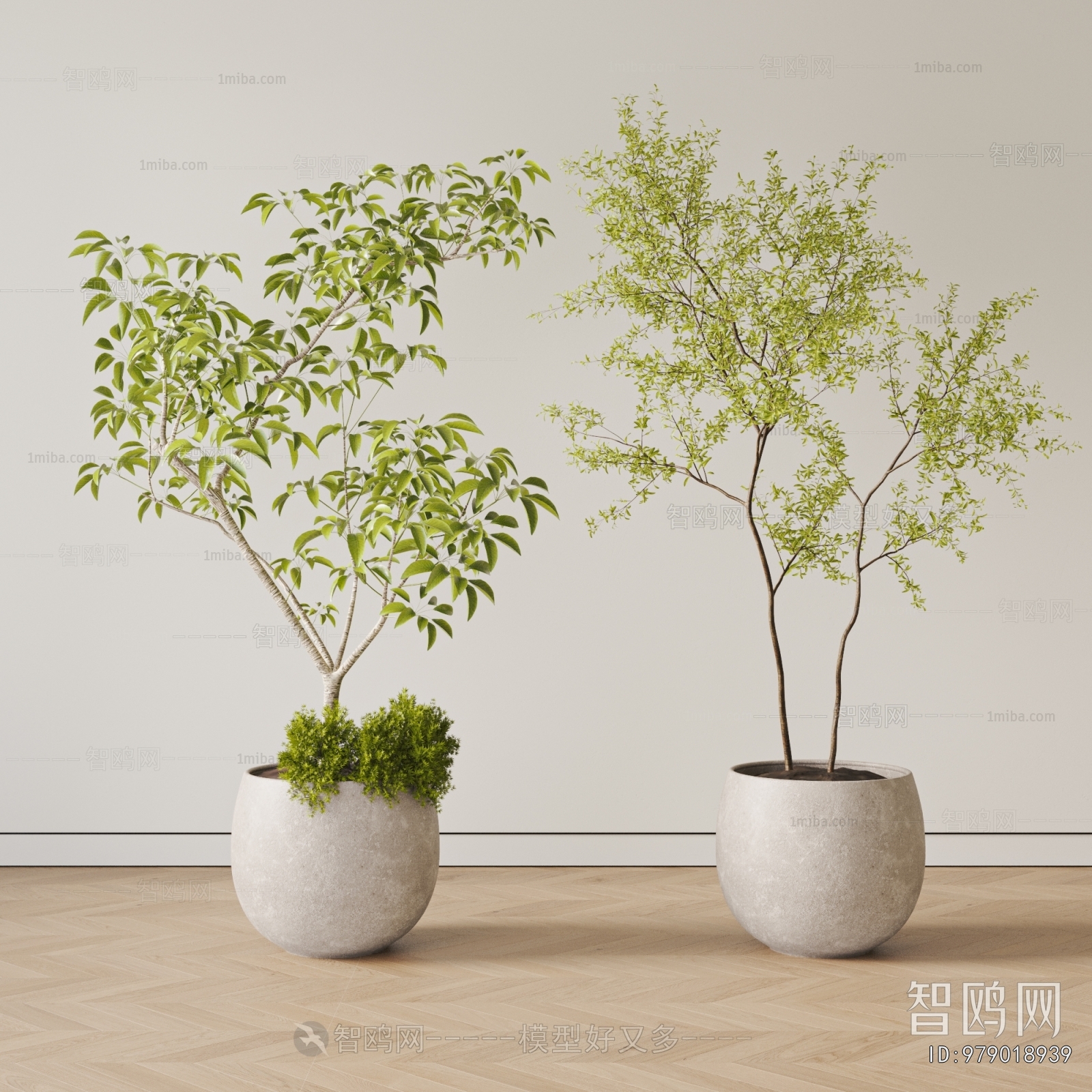 Modern Ground Green Plant Potted Plants