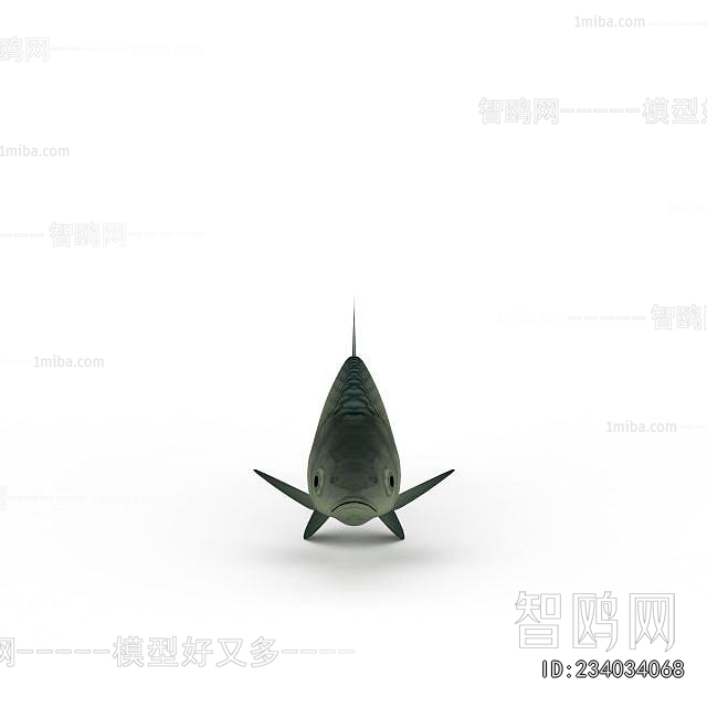 Modern Aquatic Animals