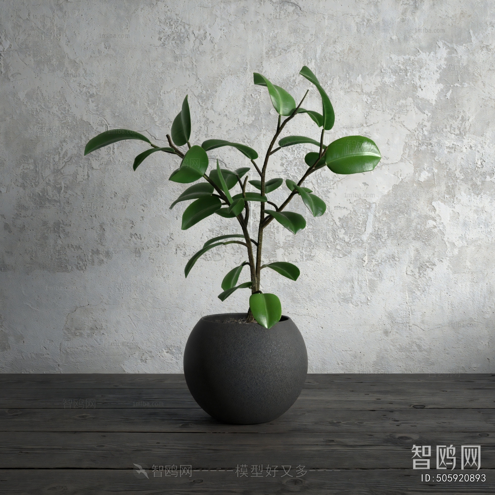 Modern Potted Green Plant