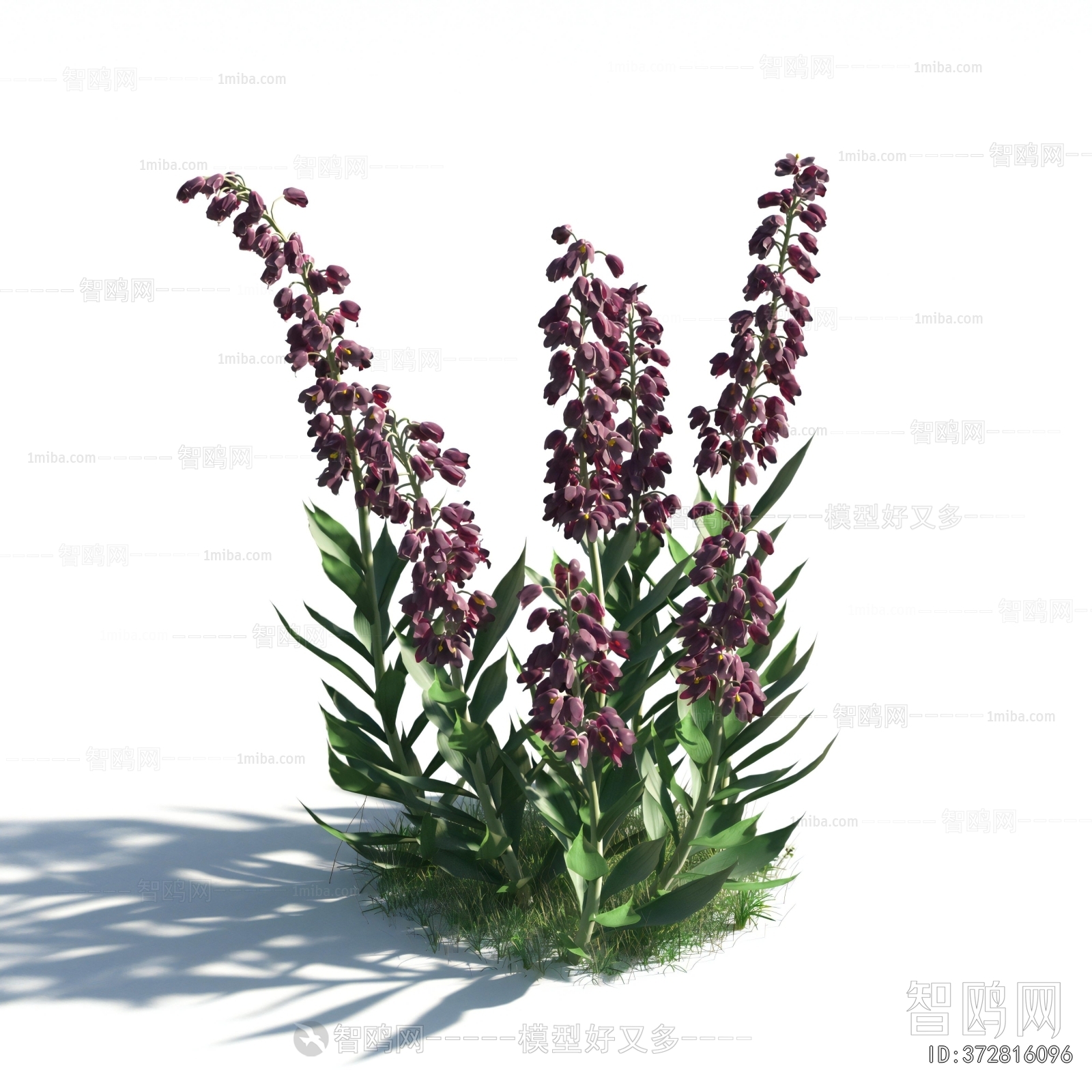 Modern Flowers And Grass