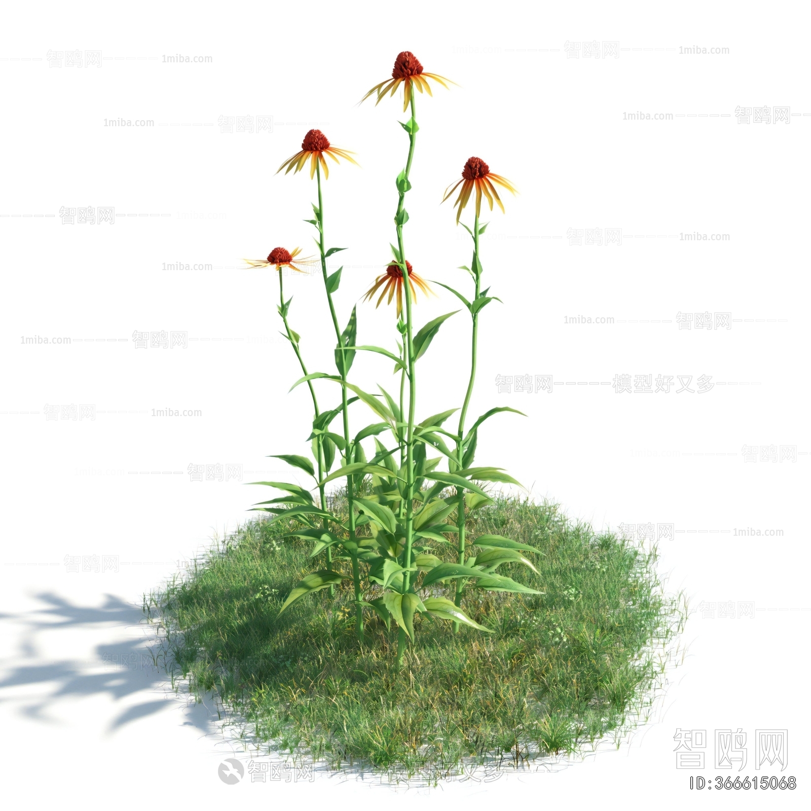 Modern Flowers And Grass