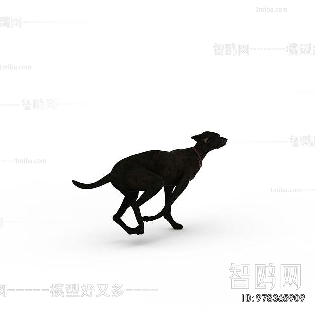 Modern Animal Dog