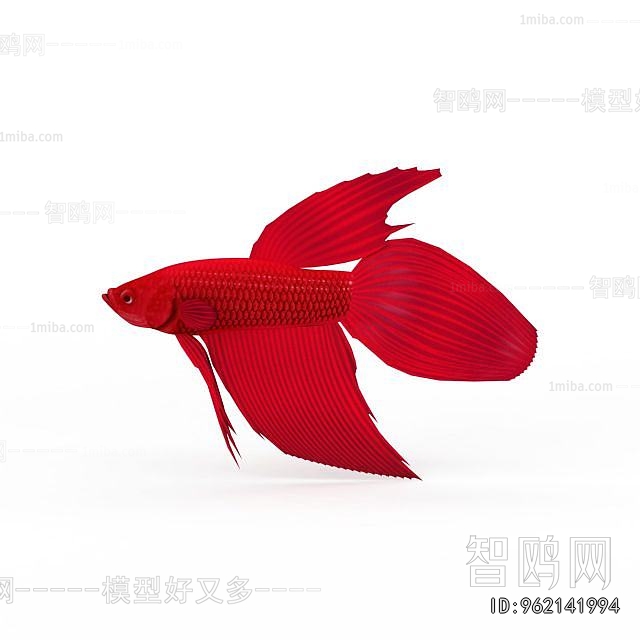 Modern Aquatic Animals