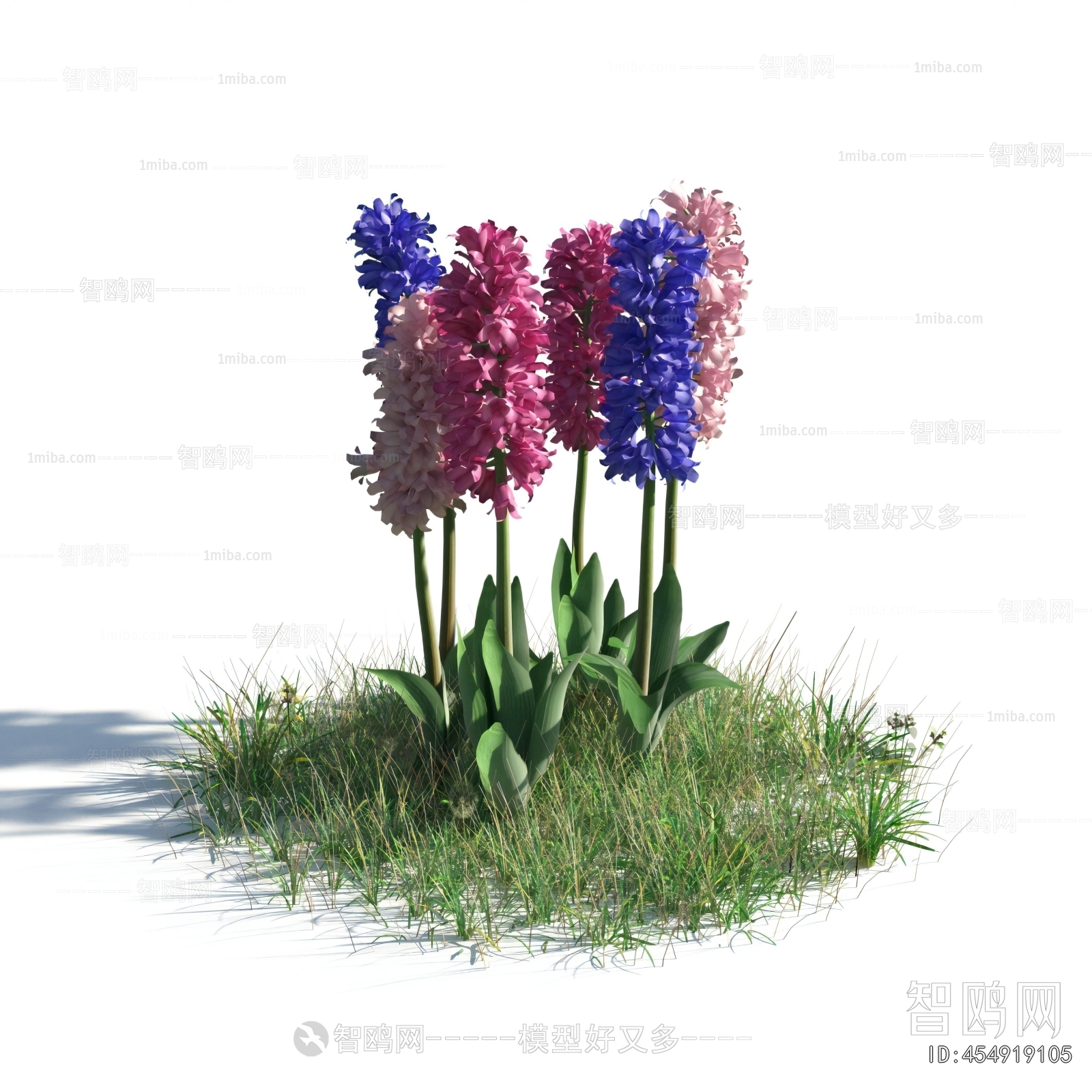 Modern Flowers And Grass