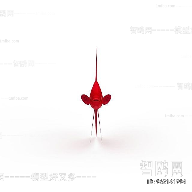 Modern Aquatic Animals