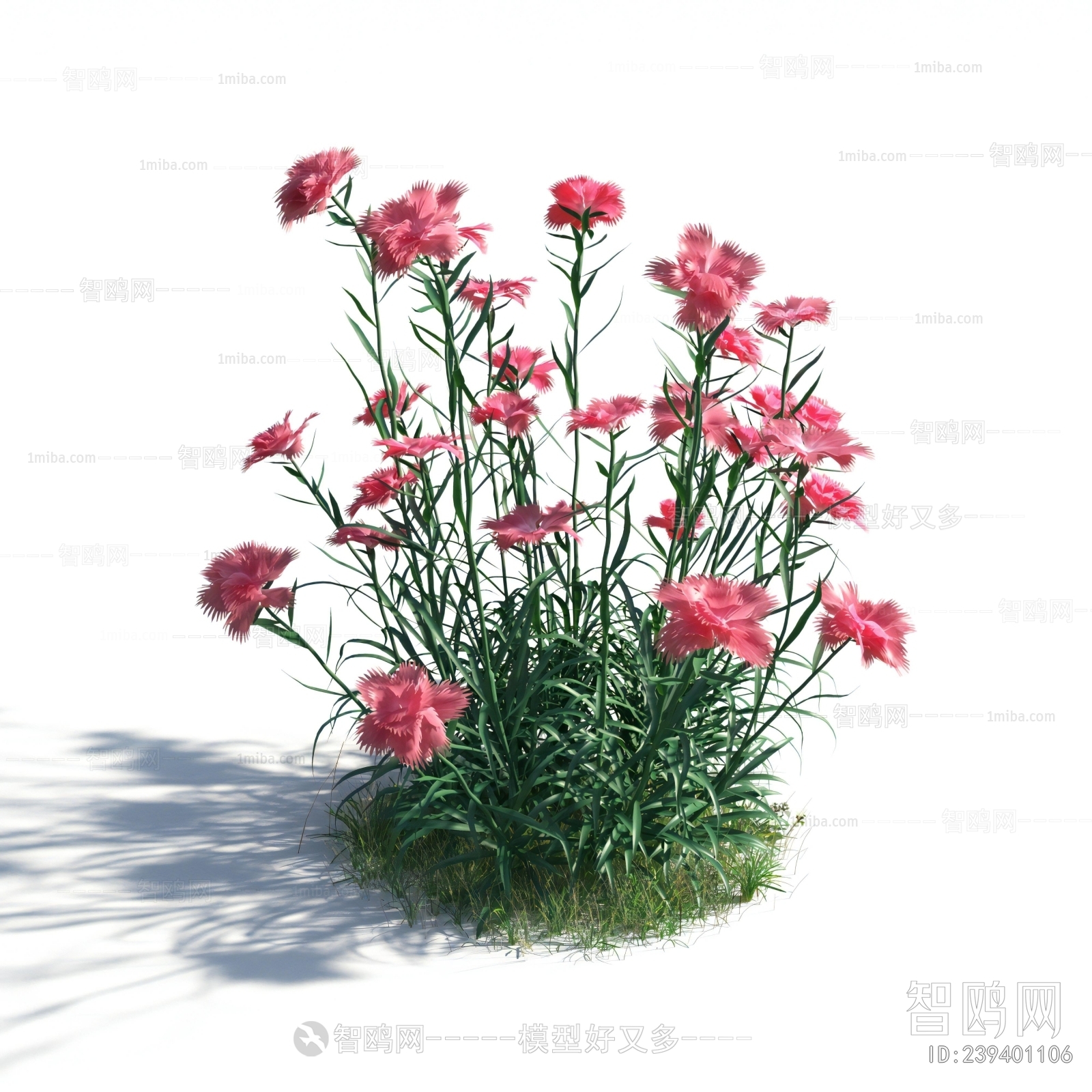 Modern Flowers And Grass
