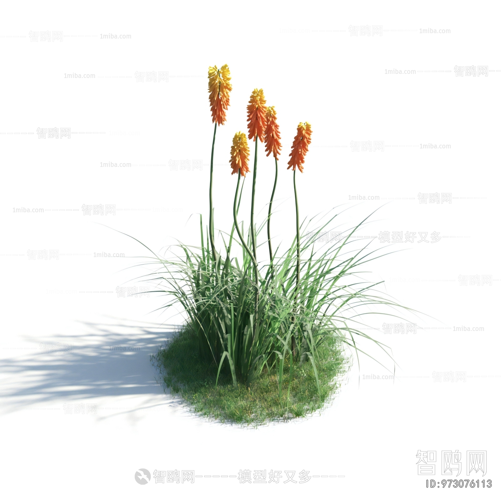 Modern Flowers And Grass