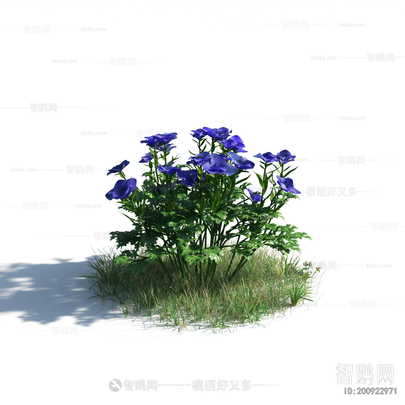 Modern Flowers And Grass