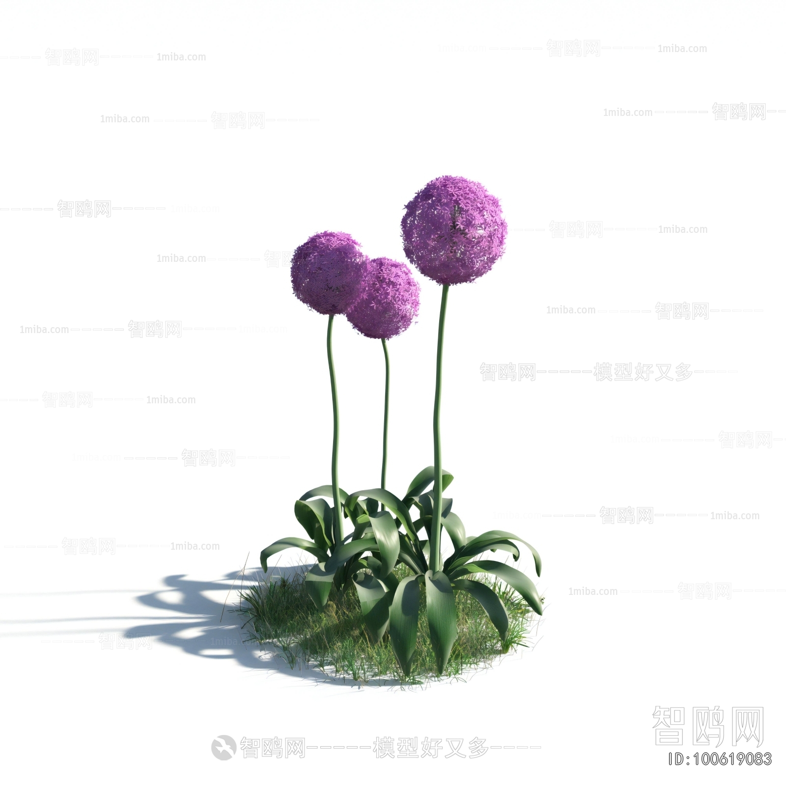 Modern Flowers And Grass