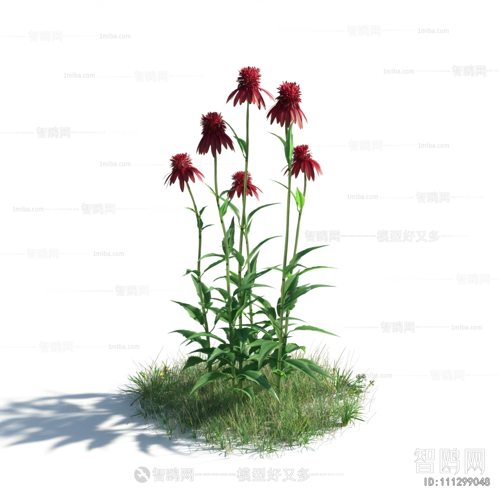 Modern Flowers And Grass