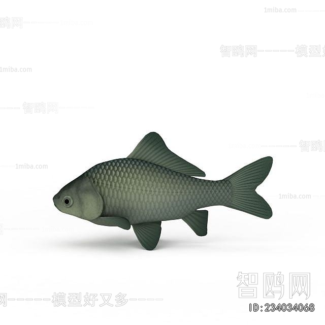 Modern Aquatic Animals