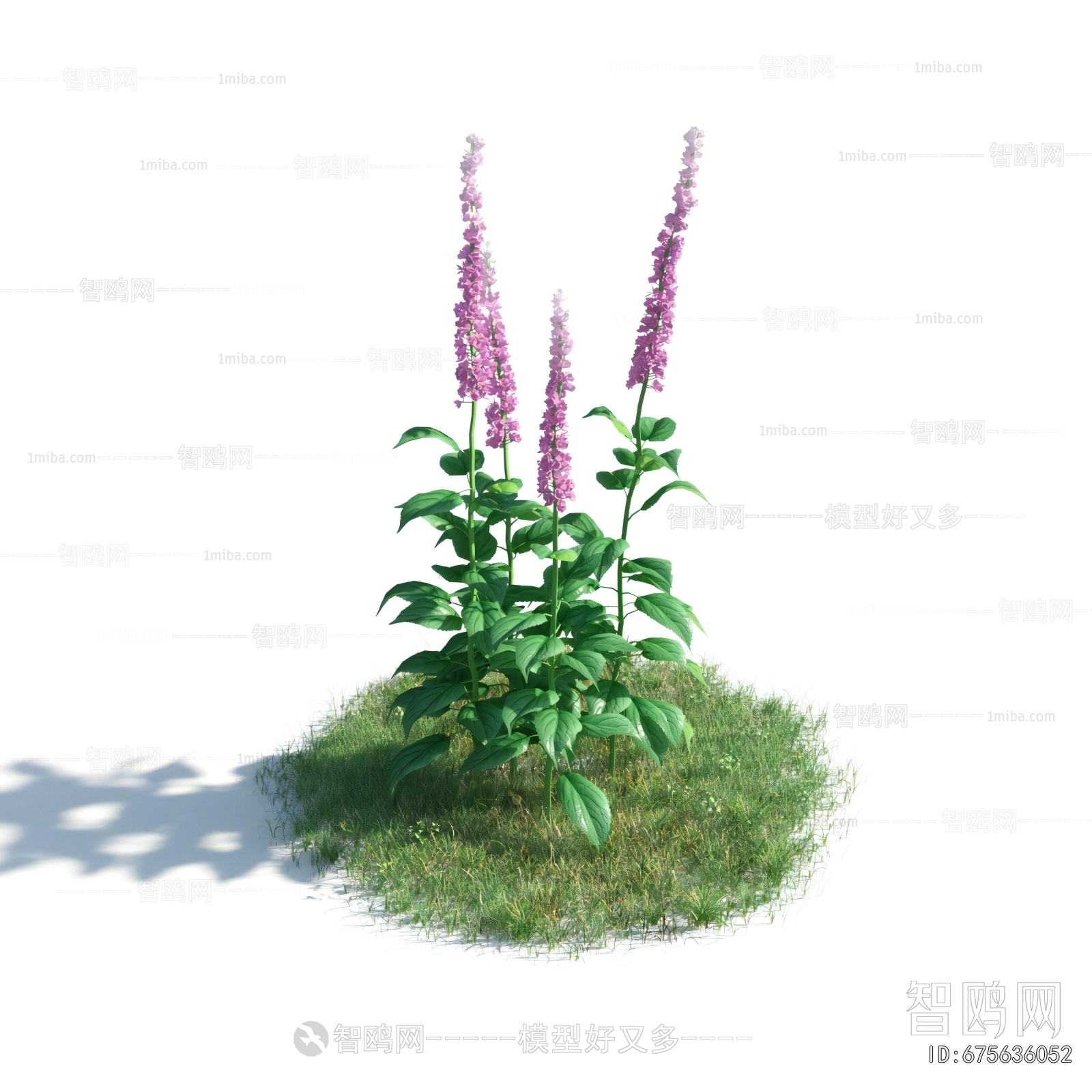 Modern Flowers And Grass