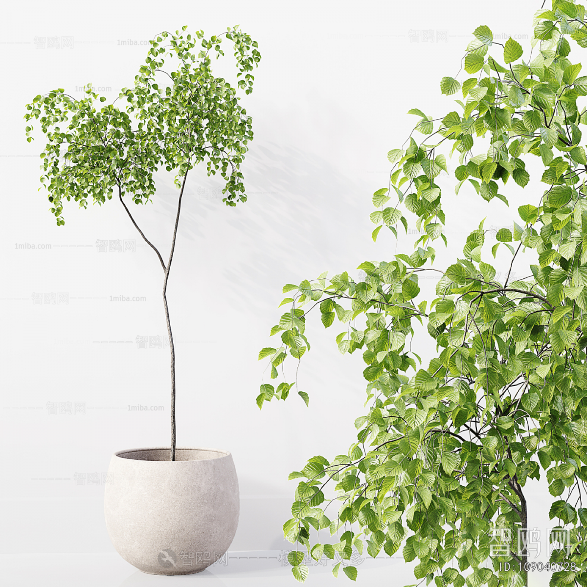 Modern Ground Green Plant Potted Plants
