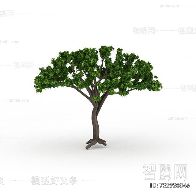 Modern Tree