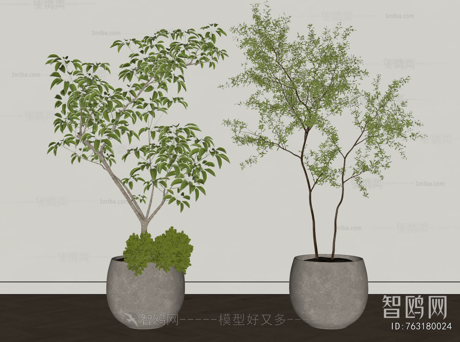 Modern Ground Green Plant Potted Plants