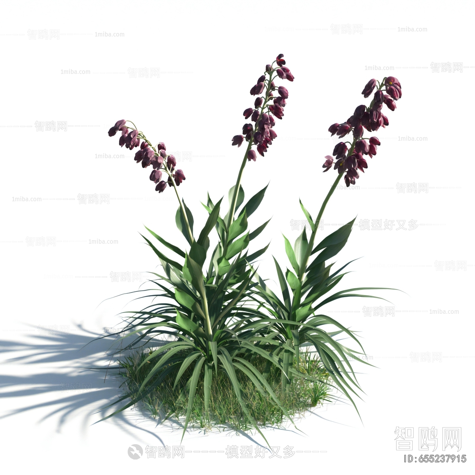 Modern Flowers And Grass