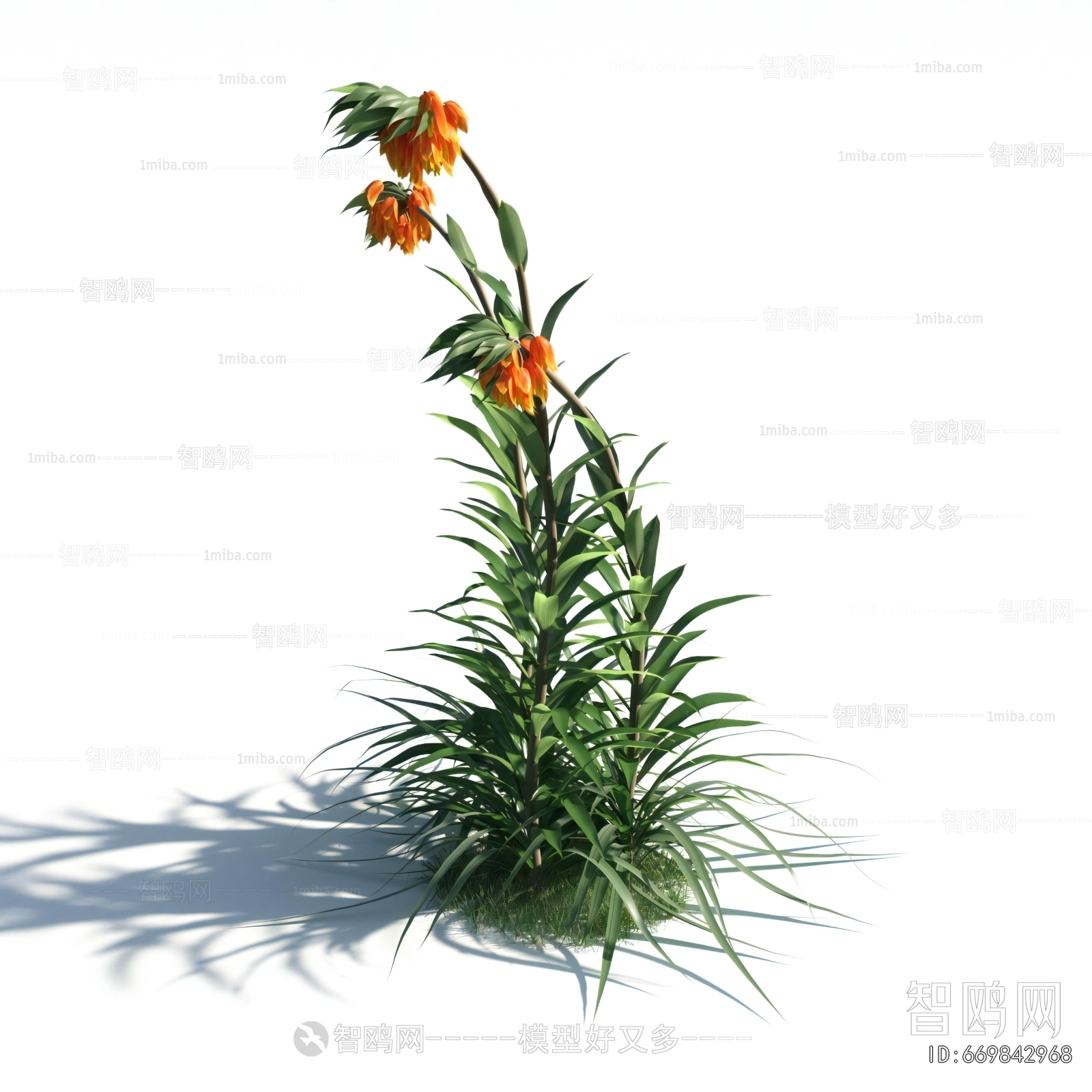 Modern Flowers And Grass