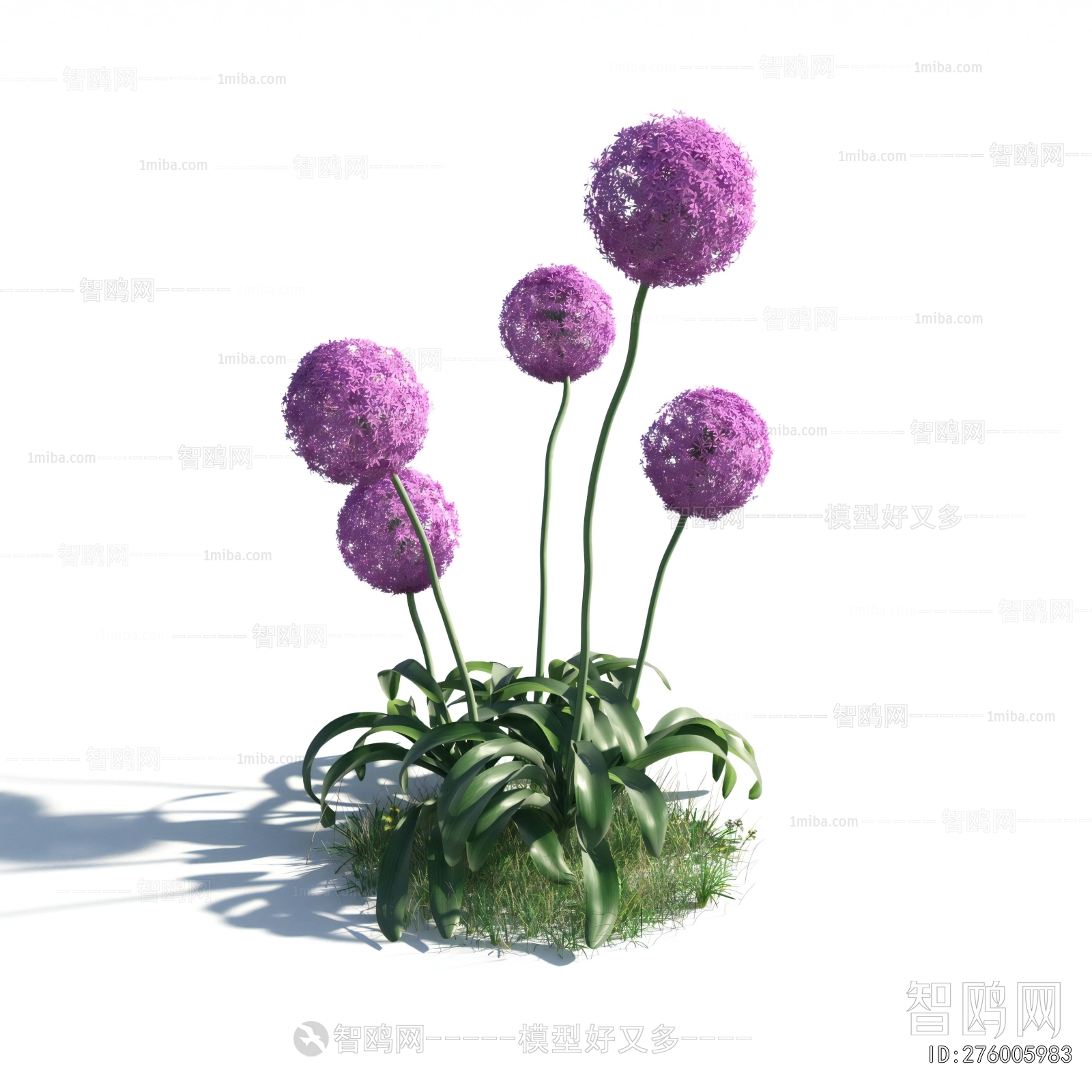 Modern Flowers And Grass