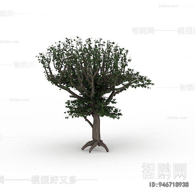 Modern Tree