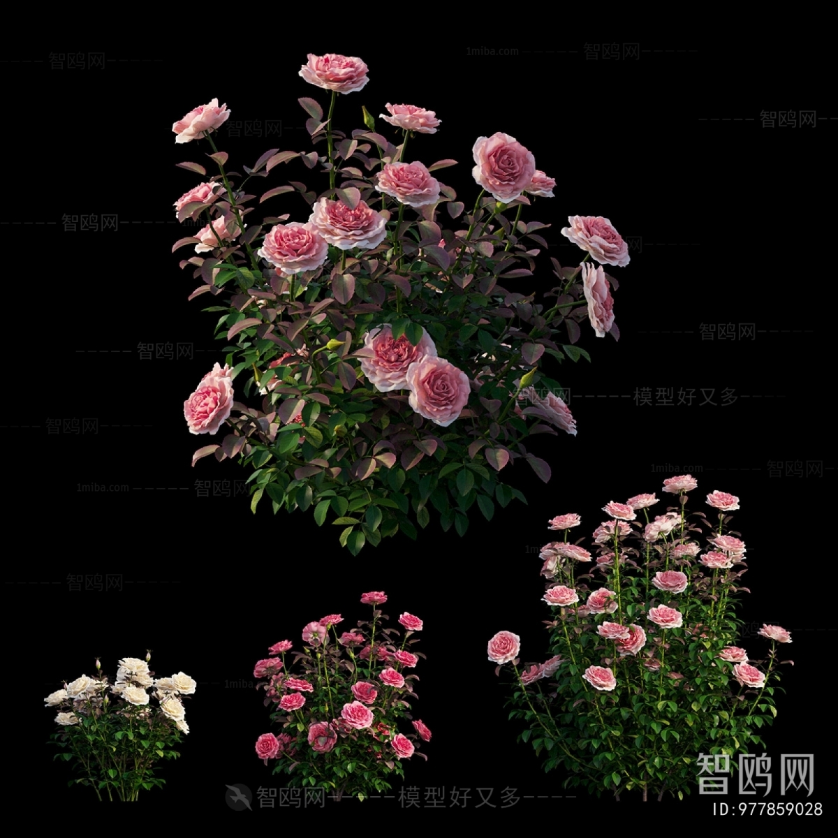 Modern Flowers And Grass