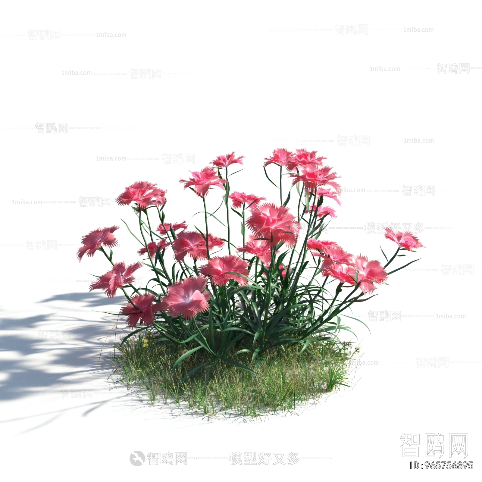 Modern Flowers And Grass