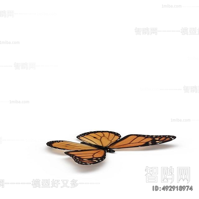 Modern Other Animals