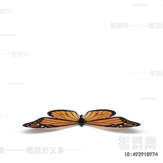 Modern Other Animals