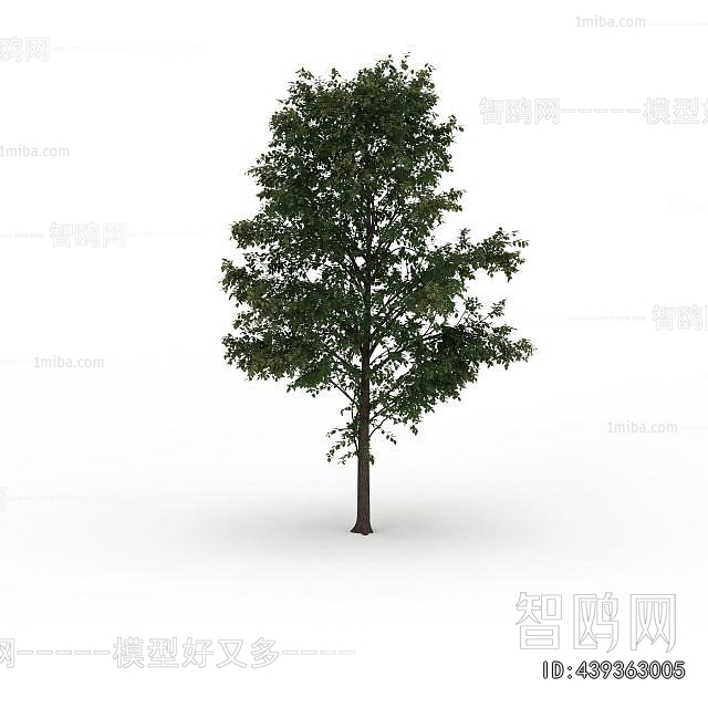 Modern Tree