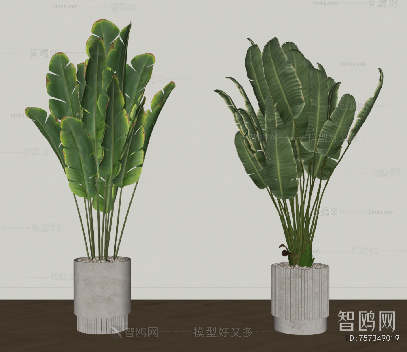 Modern Ground Green Plant Potted Plants