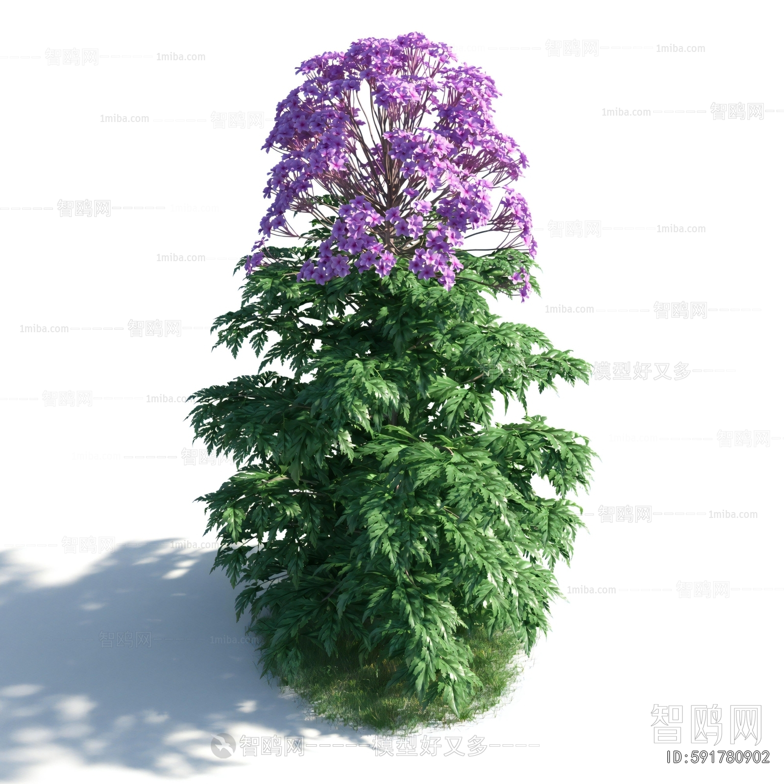 Modern Flowers And Grass