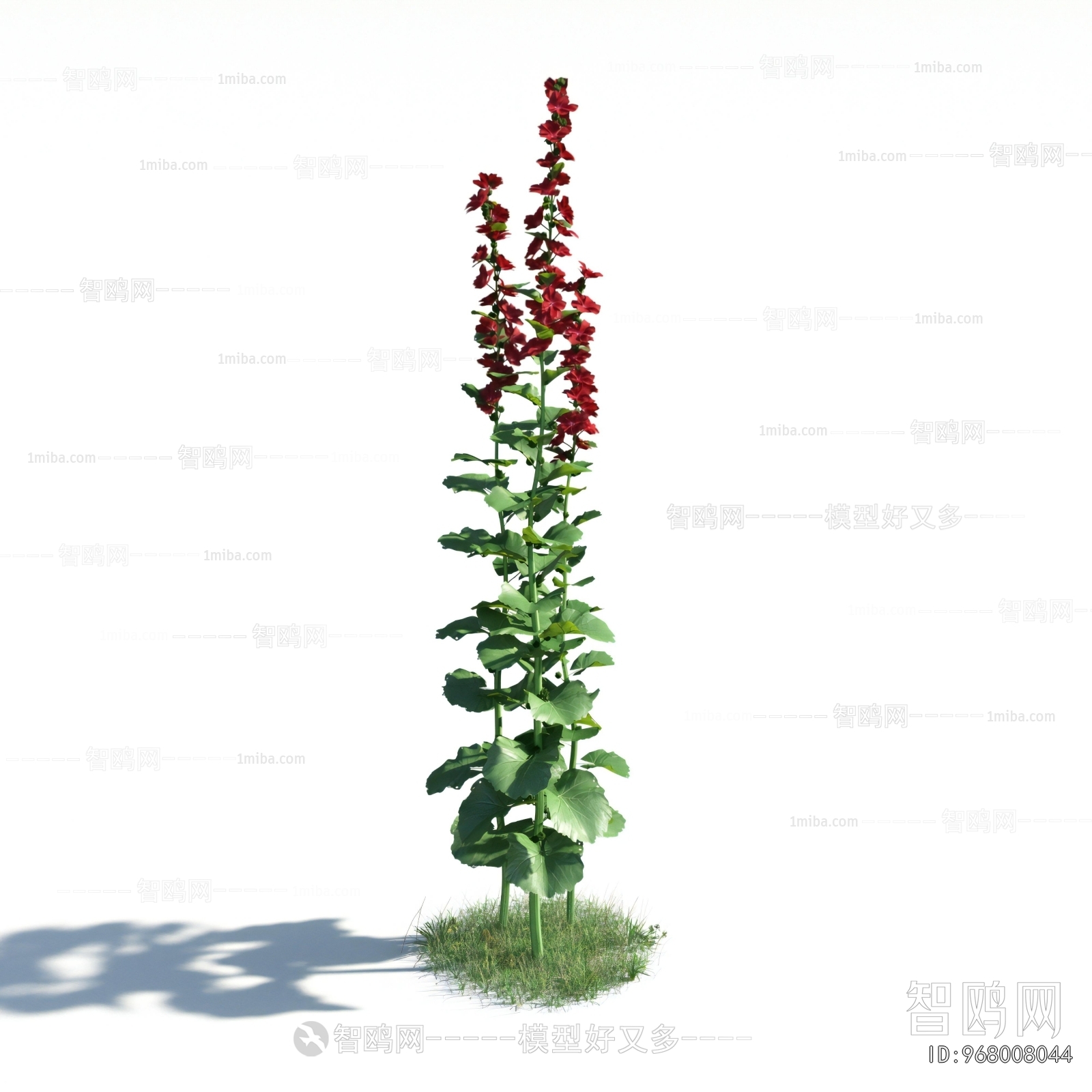 Modern Flowers And Grass