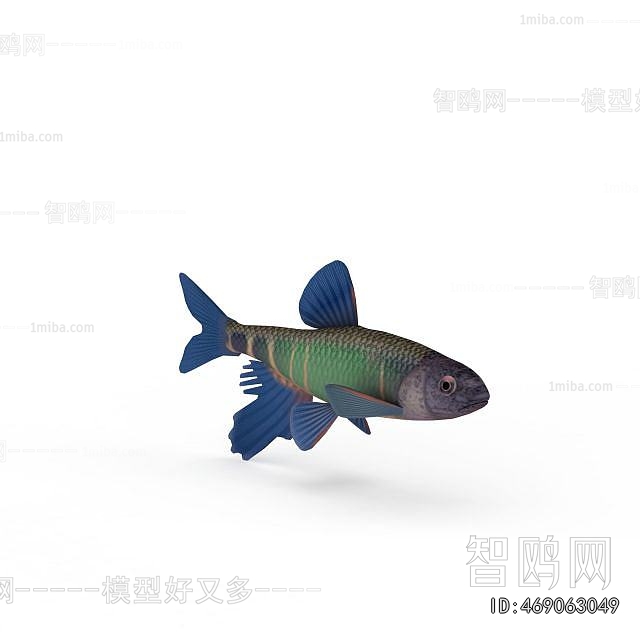 Modern Aquatic Animals