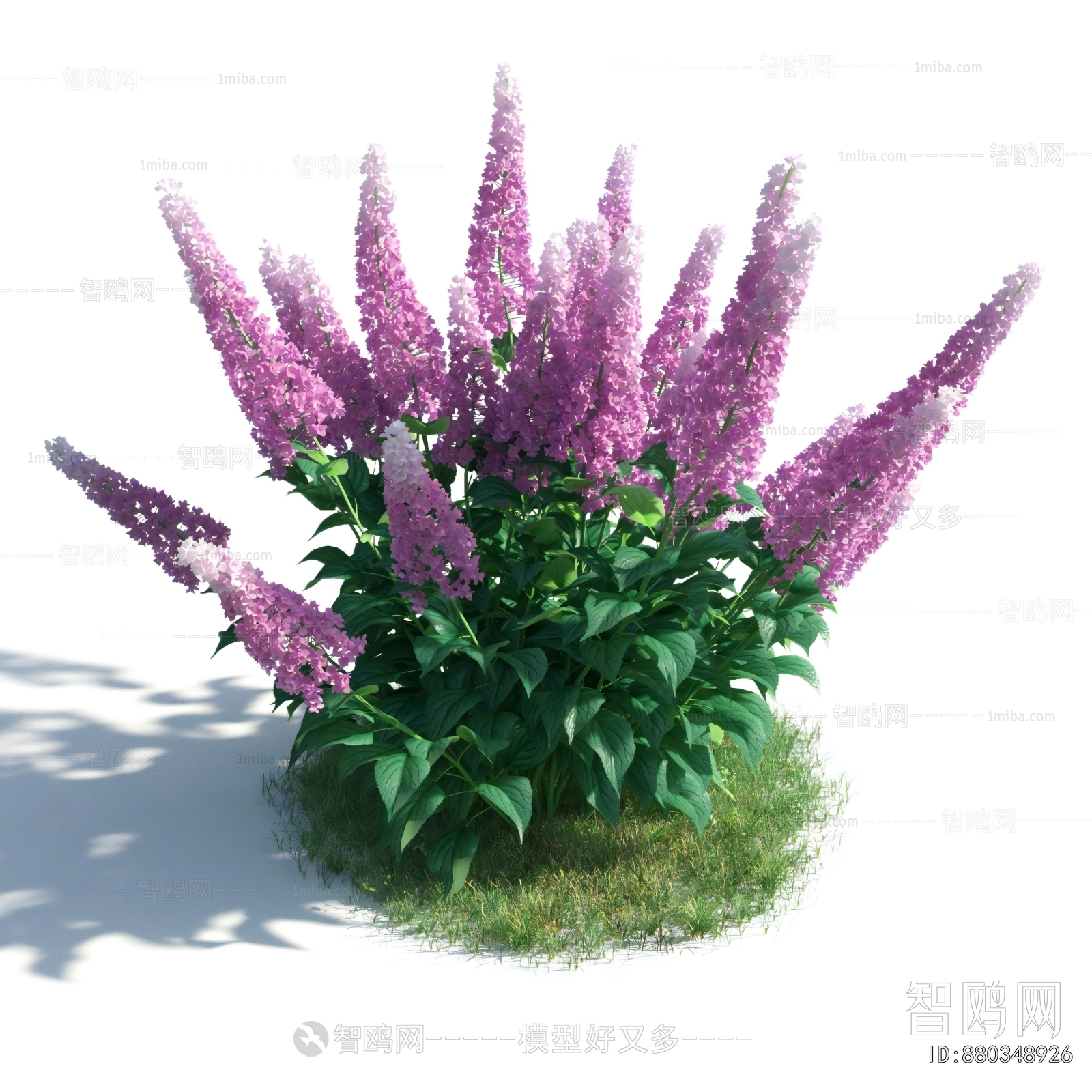 Modern Flowers And Grass