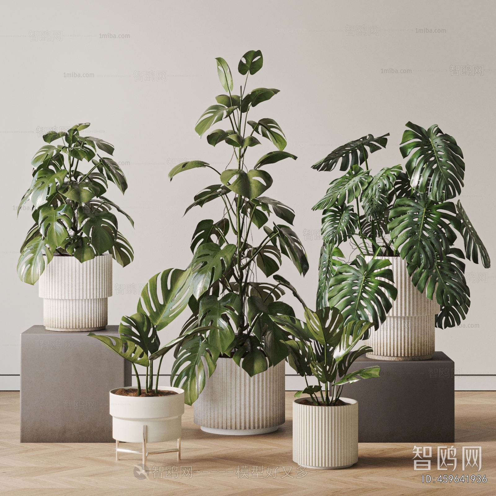Modern Ground Green Plant Potted Plants