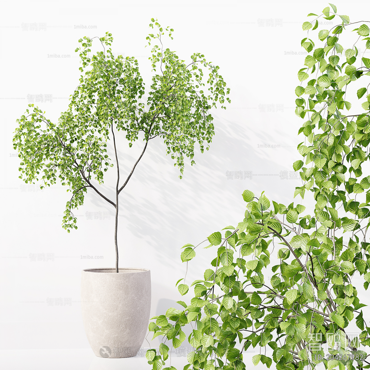 Modern Ground Green Plant Potted Plants
