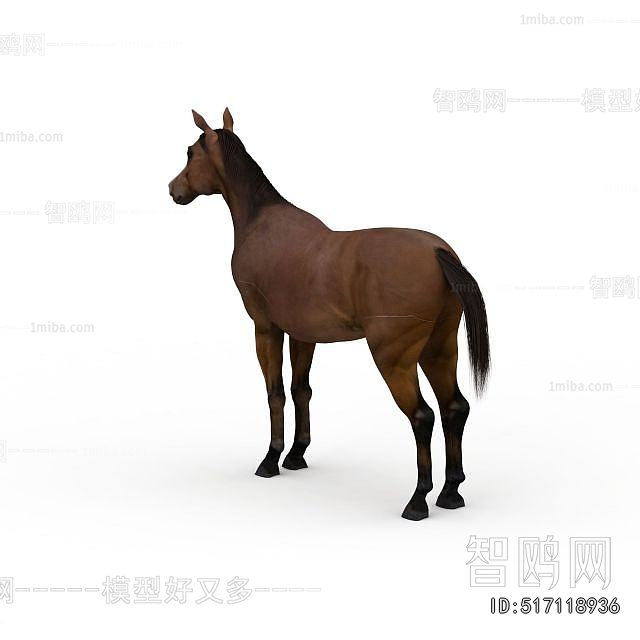 Modern Animal Horse