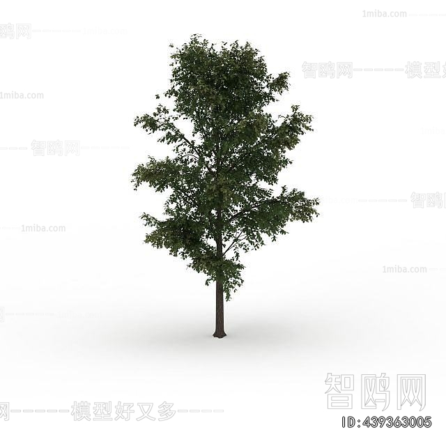 Modern Tree